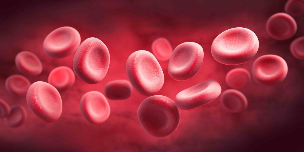 Bilder von roten Blutkörperchen